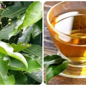 Tea